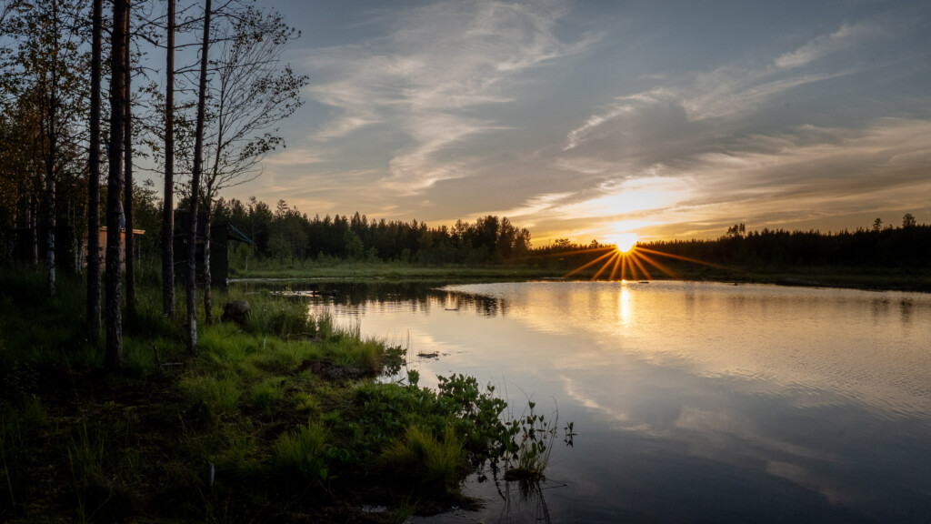 Avond in de taiga