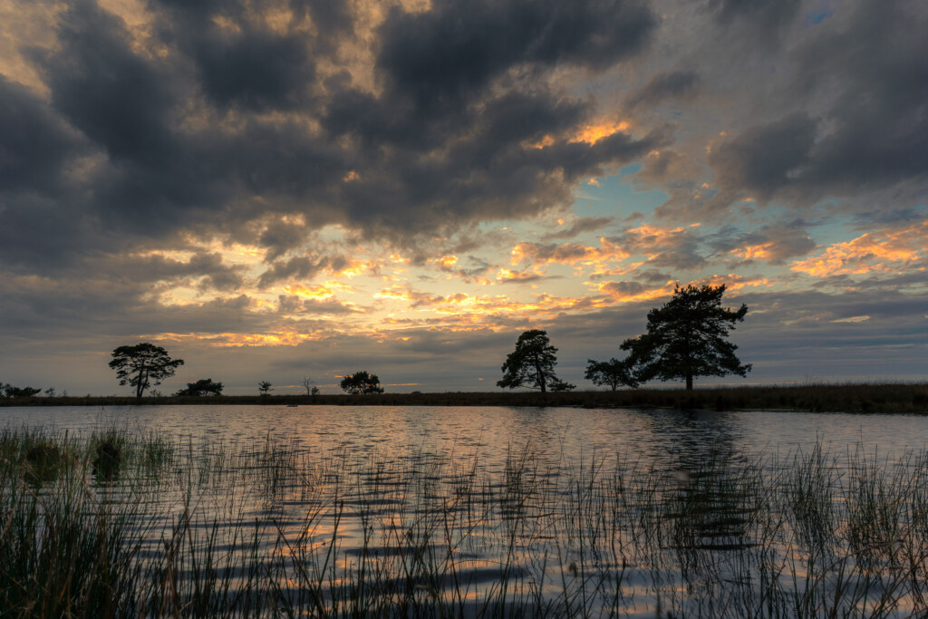 Ven onder dreigende lucht